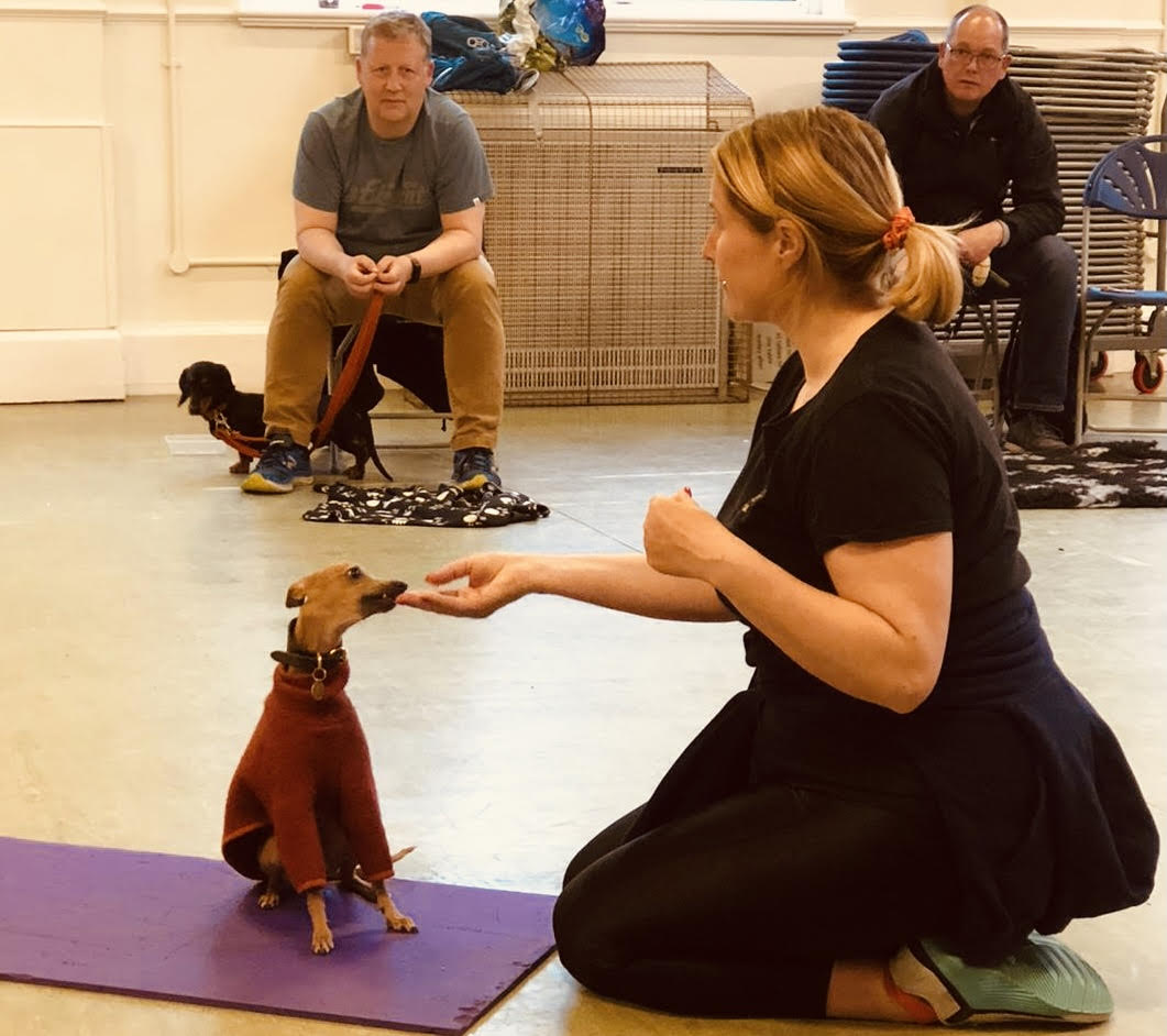 Puppy Class – Tuesdays – 19th July to 23rd August – Hampton