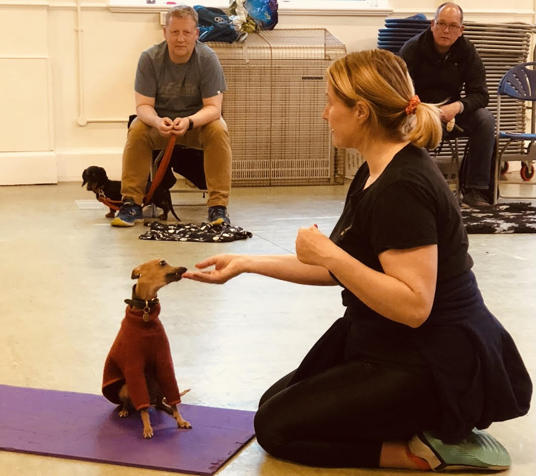 Puppy Class – Tuesdays – 16th April to 21st May – Hampton